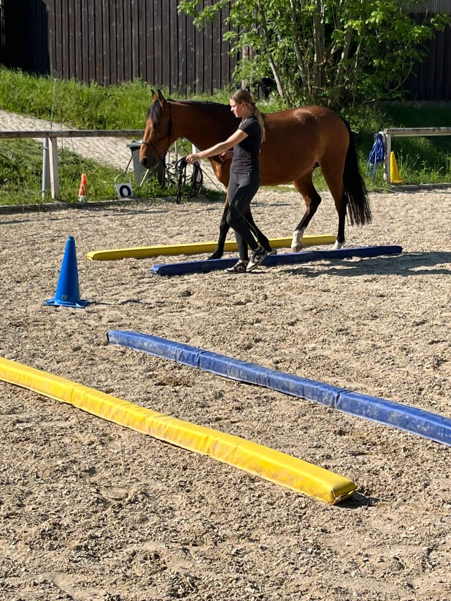 Lehrgang mit Silke für Vereinsmitglieder.